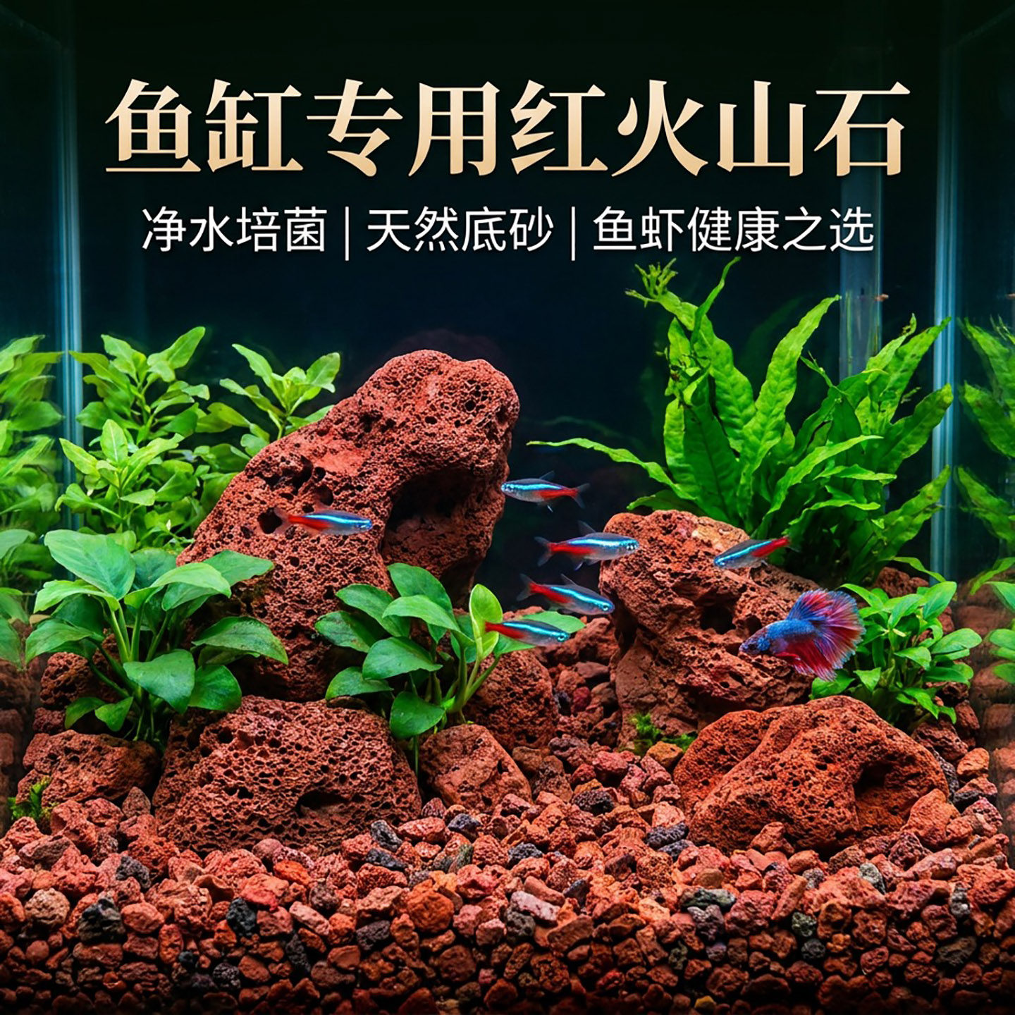 火山石天然颗粒鱼缸专用造景鱼池底砂滤材养花养鱼大块火山石颗粒