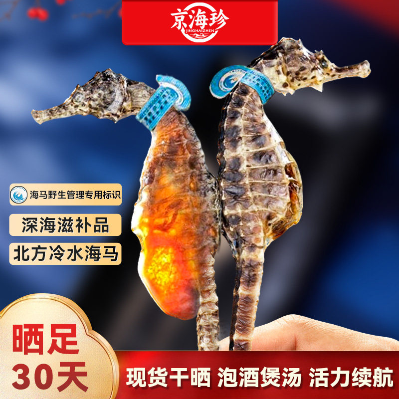 京海珍海马干品深海滋补品北方冷水高档礼盒海马增晒足现货高煲汤
