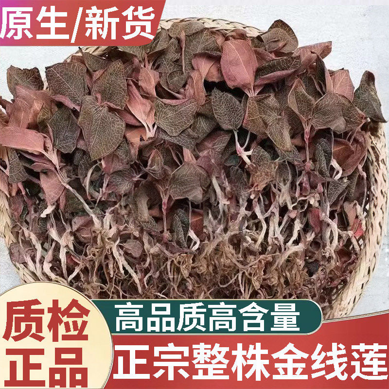 正宗金线莲官方旗舰整株开花干品500克1斤福建南靖林下仿野生种植
