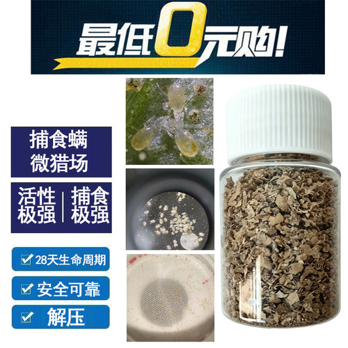 小羽捕食螨 加州新小绥螨红白蜘蛛蓟马天敌家庭园艺草莓大棚基地