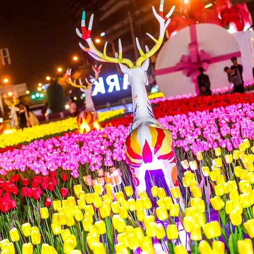 发光郁金香灯地插灯 户外防水庭院景观装饰芦苇灯草坪灯花海工程