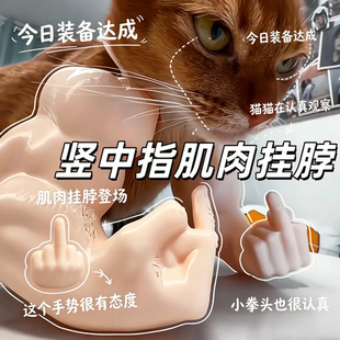 【挑衅猫猫装饰】宠物竖中指肌肉手臂挂脖创意3D打印趣味逗猫玩具