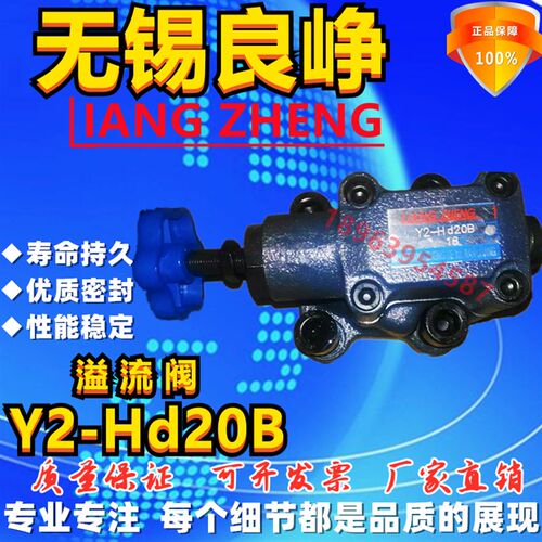 LIANG ZHGENG 液压 溢流阀 Y2-Hd20B  无锡良峥液压件厂