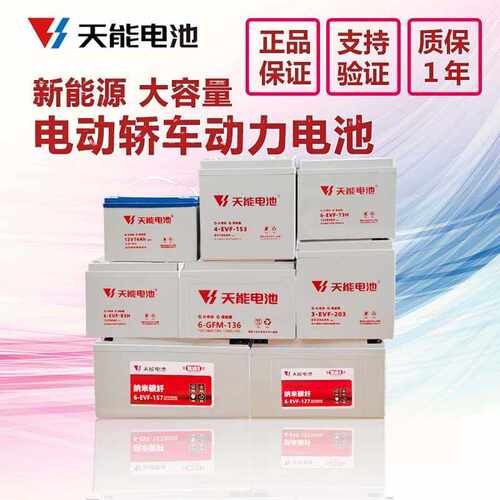 天能新能源电动轿车四轮车原厂电瓶60v100a4-evf-150y6v200ah