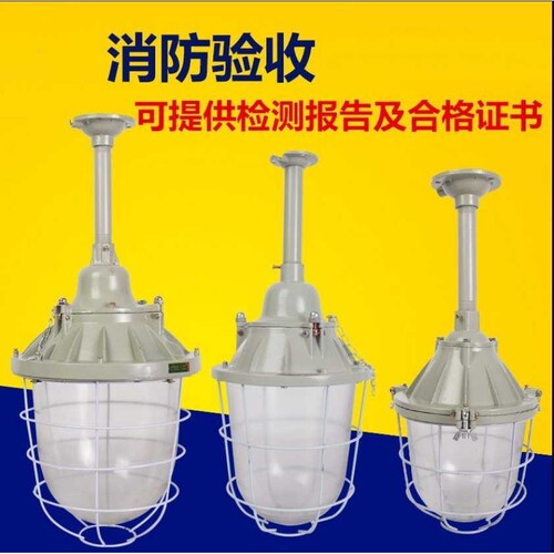 防爆灯100W202540仓库用车间隔爆型工程灯防爆灯具三防灯