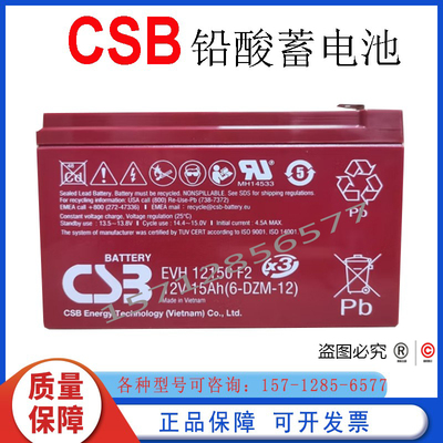 CSB电动吊床全新蓄电池正品包邮