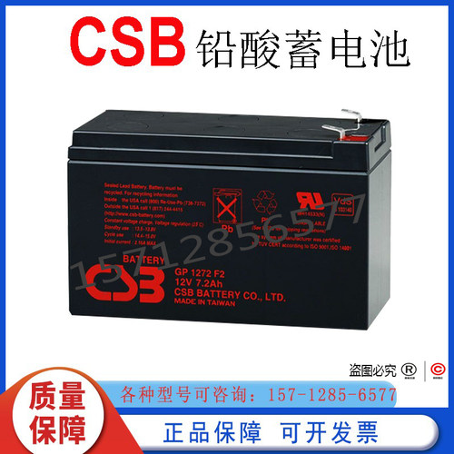 CSB电梯门禁全新蓄电池原装