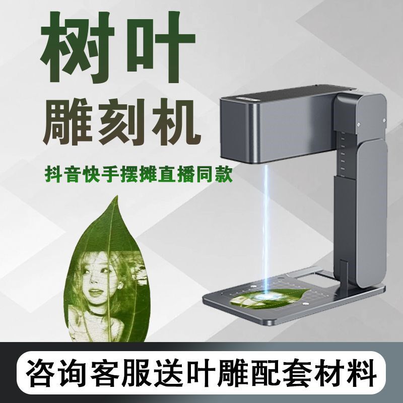 树叶叶雕摆摊创业激光雕刻机叶雕USB多功能数码宝