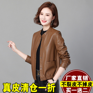 修身 真皮皮衣女短款 皮夹克矮个子韩版 新款 小外套潮 绵羊皮2025秋装