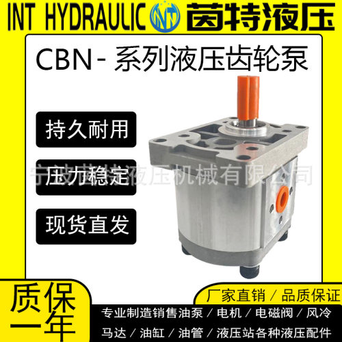 高压齿轮泵CBN-F310-304-314