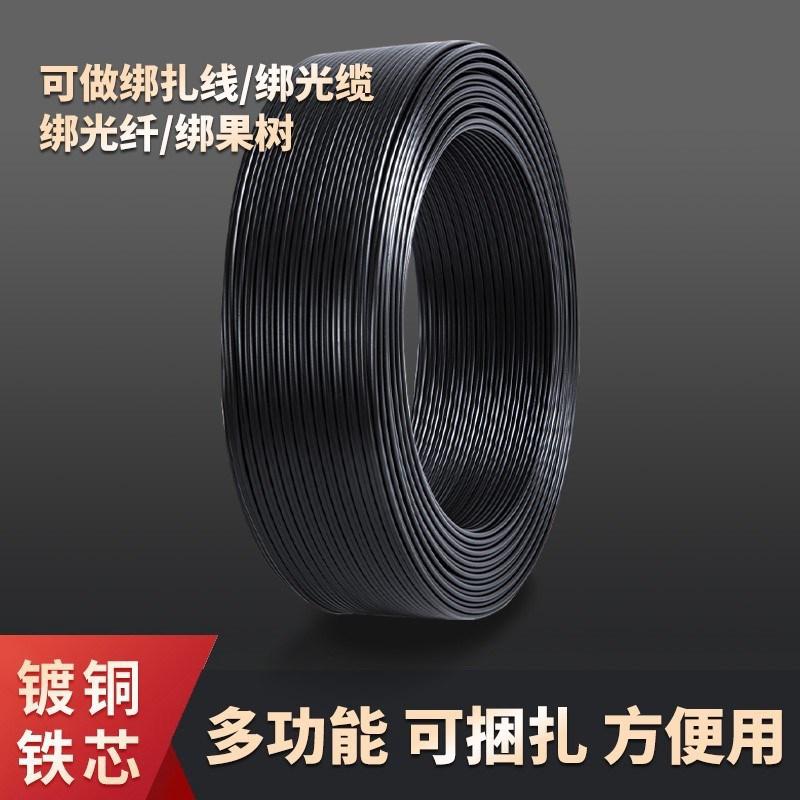 双股双芯铁芯扎线室外电话线约200米皮线包塑扎线通信光缆绑扎线
