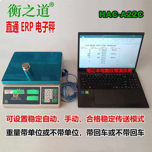 仓库管家ERP电子秤直通电脑输入框232转USB直连电脑免驱动A22C