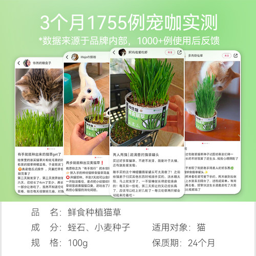 懒人猫草罐盆栽化毛球促消化猫咪化毛草零食非水培鲜食零食猫草杯