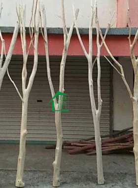 干树枝枯枝白树枝隔断装饰摆件干枝造景北欧风客厅创意屏风橱窗