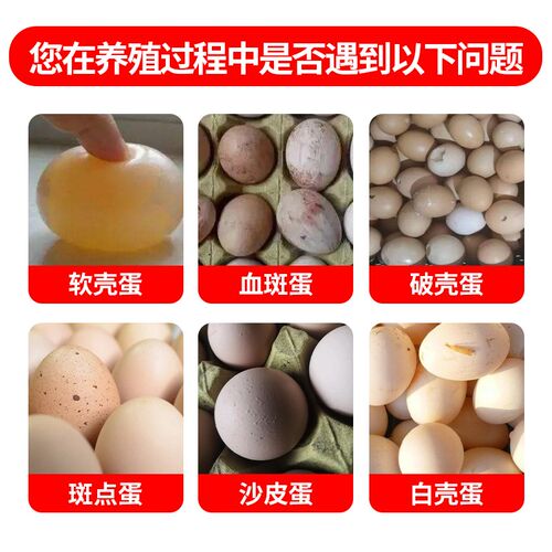 蛋多宝增蛋宝芦丁鸡鸭鹅鹌鹑产蛋灵专用催蛋素禽用下蛋饲料添加剂