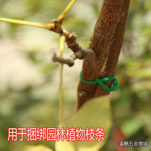 园艺花杆包塑绿扁软扎线DIY铁丝扎丝 爬藤园林园艺植物捆扎带350m