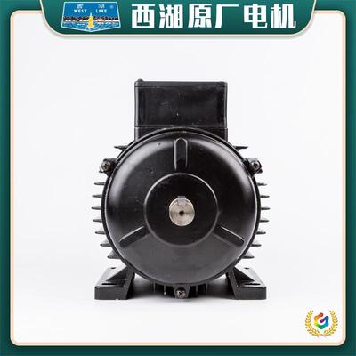 ⊕杭州西湖台钻原厂电机YS7114 7124 7134 8024T 6312 YC7112马迪