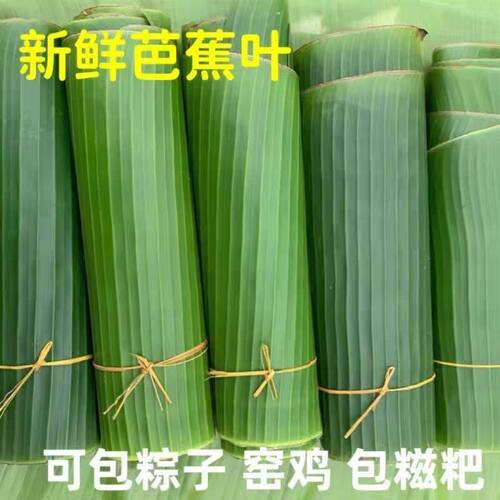 云南现摘新鲜芭蕉叶傣式包烧