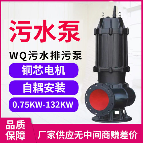 WQ潜水排污泵污水泵抽粪泥浆抽水380V国标潜水泵排污泵污水泵