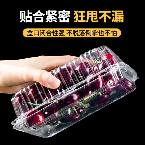 一次性水果打包盒超市一斤装透明塑料盒草莓包装盒水果店500M带盖