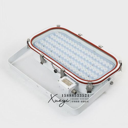 船用LED投光灯TG20-L不锈钢大功率投光探照灯强光30W50W100W矿用