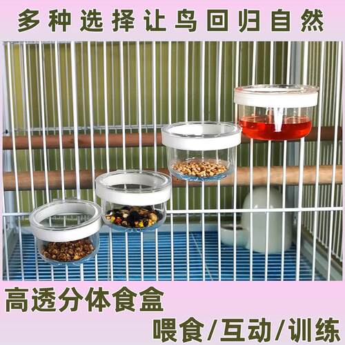 小鸟专用食盒食碗食杯食罐绣眼百灵鸟芙蓉鸟玉鸟文鸟画眉鹦鹉内挂
