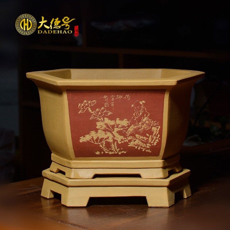 紫砂君子兰花盆 蝴蝶兰建兰多肉植物绿植盆栽精品六方刻绘带托盘