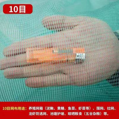 10目七绞网布池塘围网龙虾防逃网护坡网青蛙蟾蜍养殖网家禽养殖网