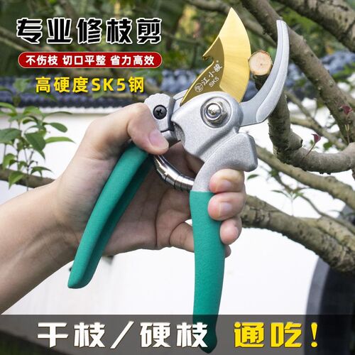 剪树枝剪刀碳钢园林花艺修枝专用剪刀果树粗枝修花剪子剪树枝工具