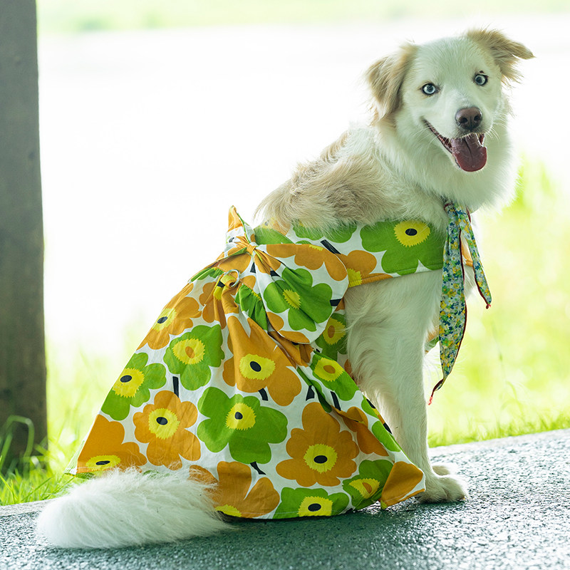 大狗狗夏季夏天边牧衣服裙子中大型犬薄款宠物可爱甜美吊带边衣裙
