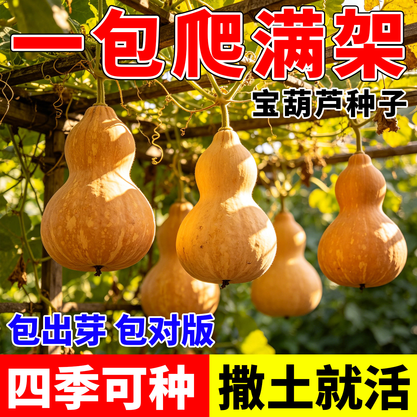 宝葫芦瓜种子观赏葫芦种籽文玩葫芦四季种阳台庭院盆栽种子约10粒