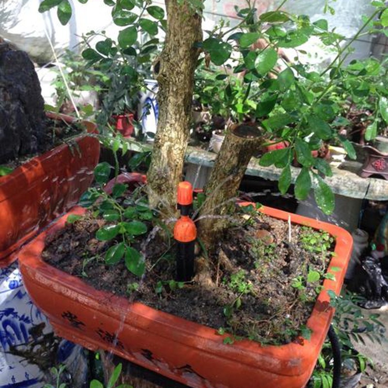 家用花园微喷自动灌溉浇水喷头系统浇花菜地喷淋喷洒花盆草坪设备