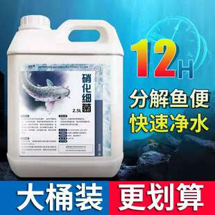 硝化细菌鱼缸用龙鱼硝化菌消化活菌em原液鱼池锦鲤专用净水除藻剂