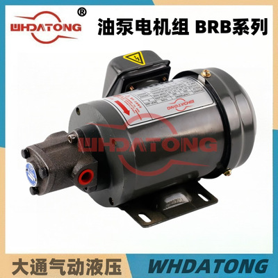 BRB-3/1/2/4/6调压泵贝奇尔摆线齿轮泵油泵电机泵组润滑泵BIJUR