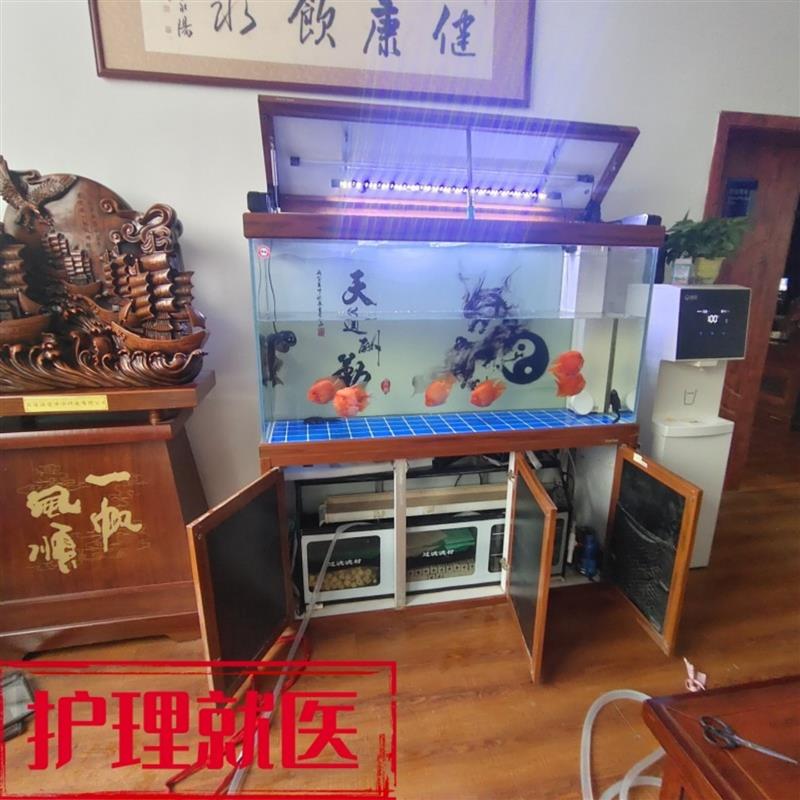 鱼缸清洗造景养护换水托管维修更换过滤配件上门组装订做鱼看病理