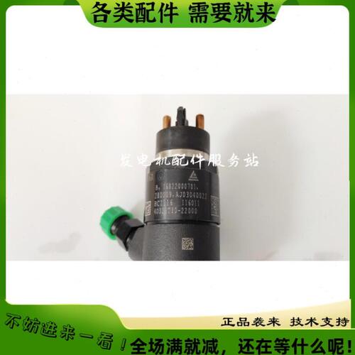 天11T30共轨喷油器D3-油总成4北京2器0新Y22011纬柴喷600