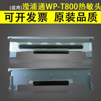适用 滢浦通WP-T800 WP-900条码打印头 WP-300 347 WP-T860 T980