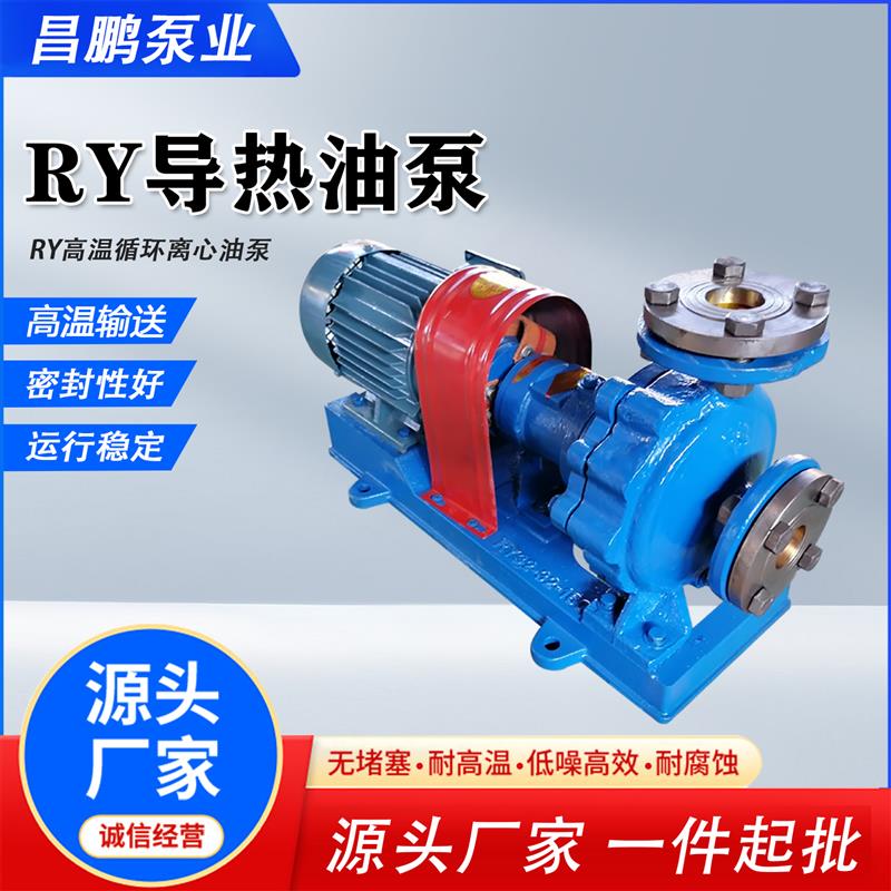 RY50-32-200导热油泵 高温循环管道离心泵 锅炉地暖供热电动油泵