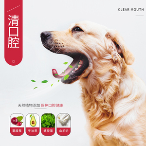 4盒昵趣洁齿磨牙棒骨狗狗泰迪幼犬成犬呢趣妮趣宠物零食