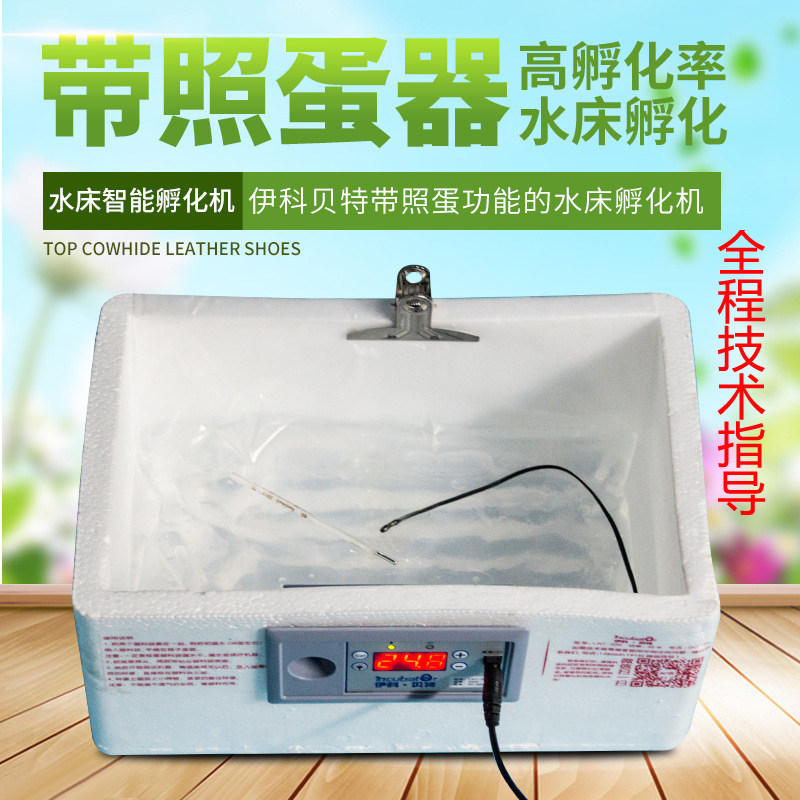 家用全自动鸡鸭鹅孵化器 白色水牀控温 50枚鹌鹑种蛋机