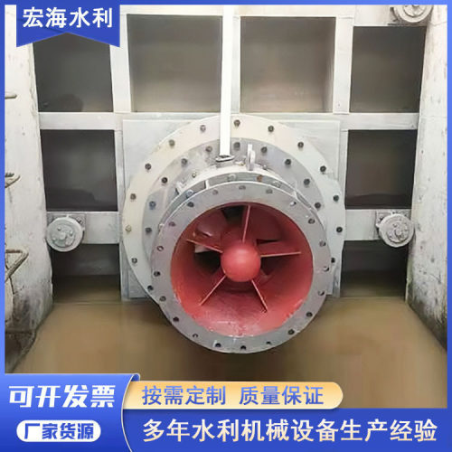 智能一体化泵闸双向排水截污泵闸厂污水处理装置河道防洪排涝闸门