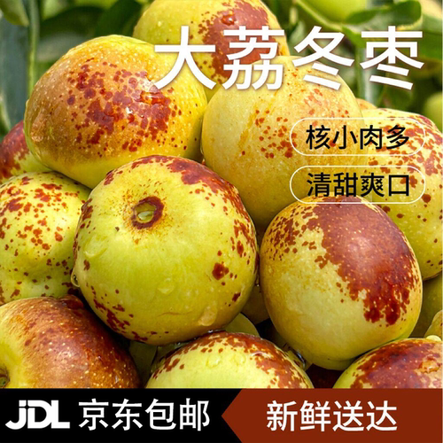 陕西大荔冬枣5A脆甜多汁