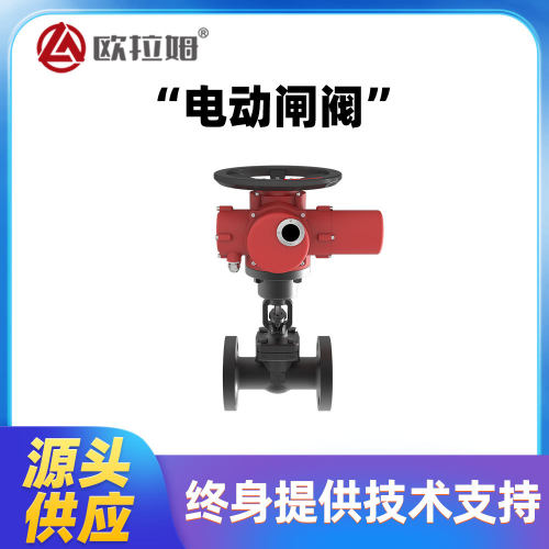 电动闸阀型号Z941H国标DN32法兰连接制丸装置工艺严格欧拉姆
