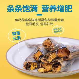 江小傲猫咪多春鱼满籽冻干即食宠物猫零食幼猫成猫营养小鱼干冻干