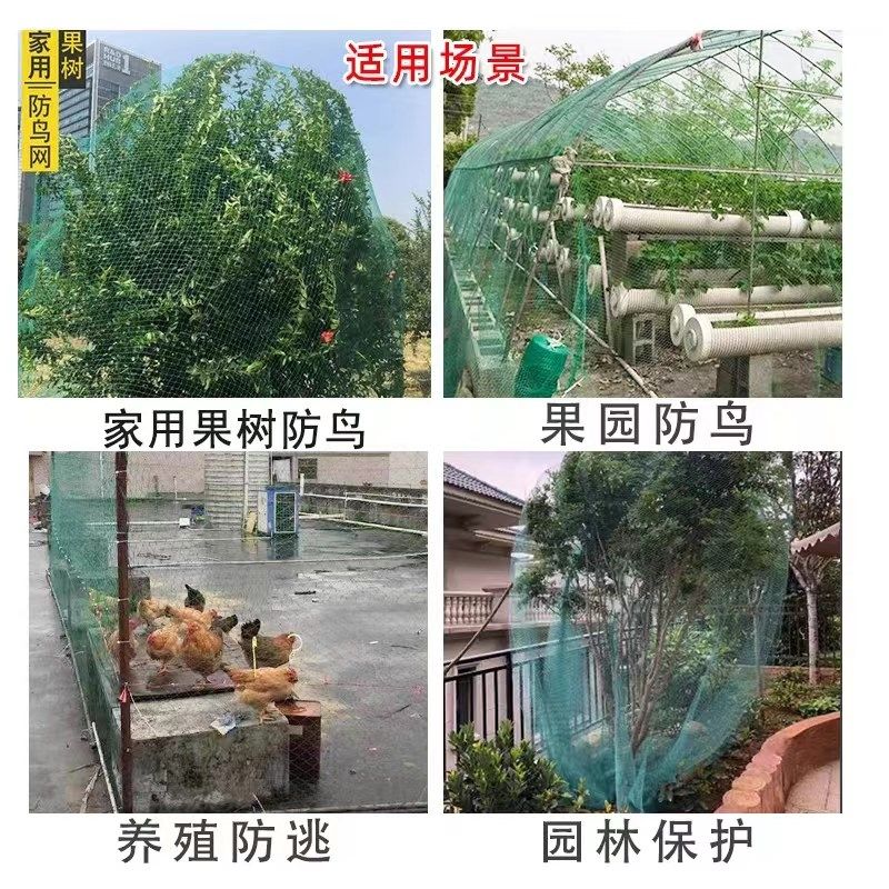 果树防鸟网罩嘉宝树无花果樱桃桃树防护防鸟网防冰雹网果园防鸟网图片