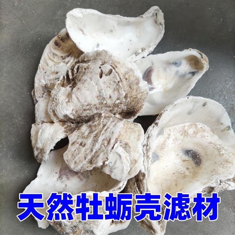 鱼池过滤蚝壳滤材锦鲤鱼池净化天然蚝壳防跌酸碱性滤材牡蛎壳过滤