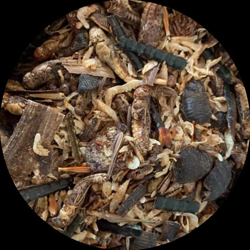 黄缘龟闭壳龟专用虫粉粮 半水龟发色补钙箱龟虫粉饲料 纯手工