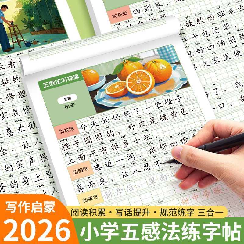 五感法扩句写作训练一二三年级看图写话写作文方法技巧大全练字帖1-2年级语文练字本小学生写方法同步练习