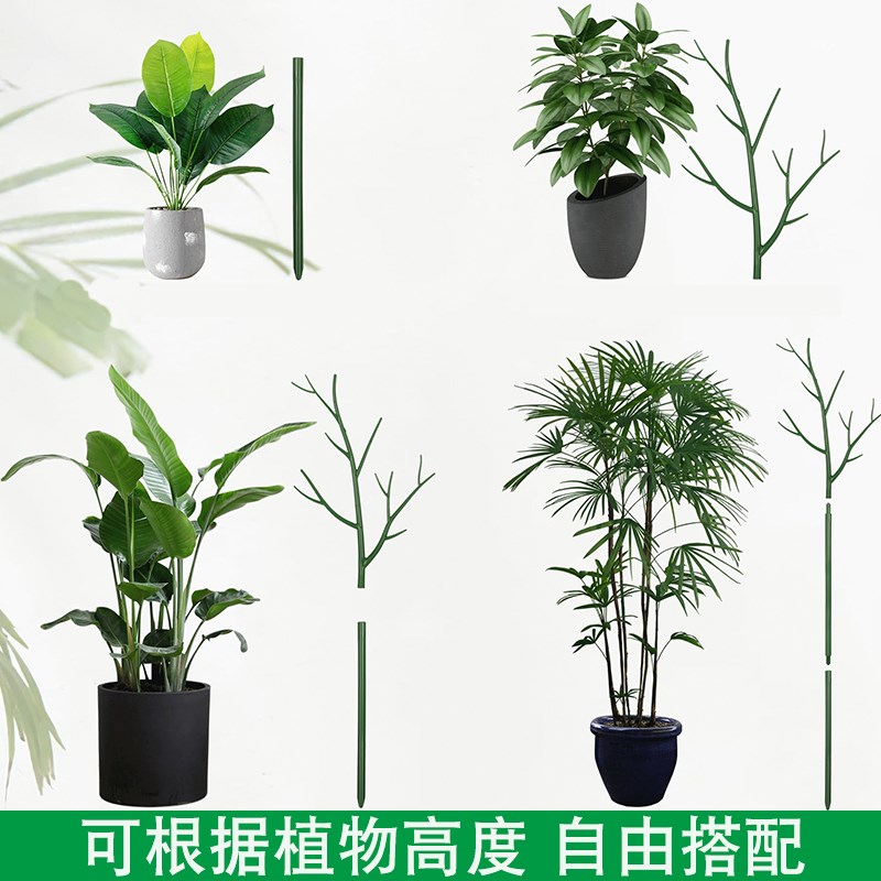 龟背竹文竹专用支撑杆 爬藤植物防倒伏花架 攀爬固定柱园艺支架