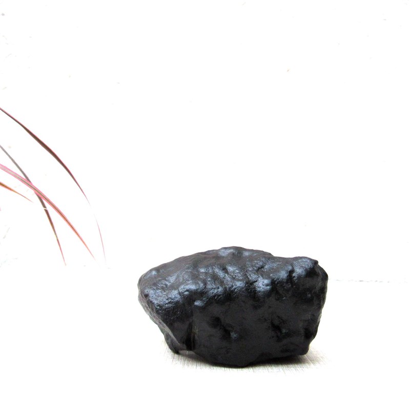 天然戈壁奇石玉石泥石沙漠漆原石整体随形摆件观赏石文玩收藏送礼